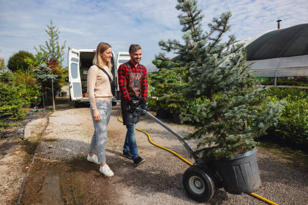  Purcellville, VA Tree Service Pros